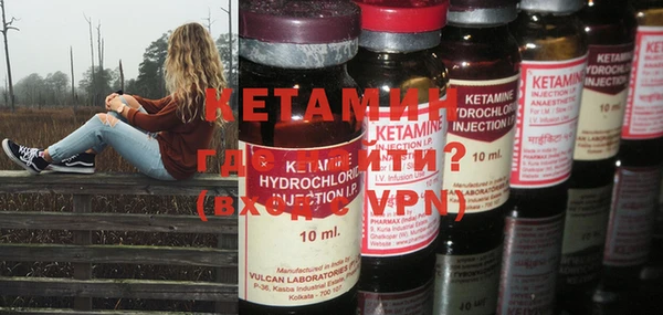 крисы Алексин